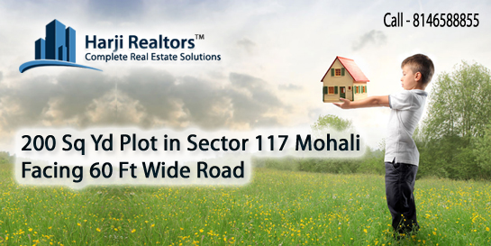 Real Estate Mohali