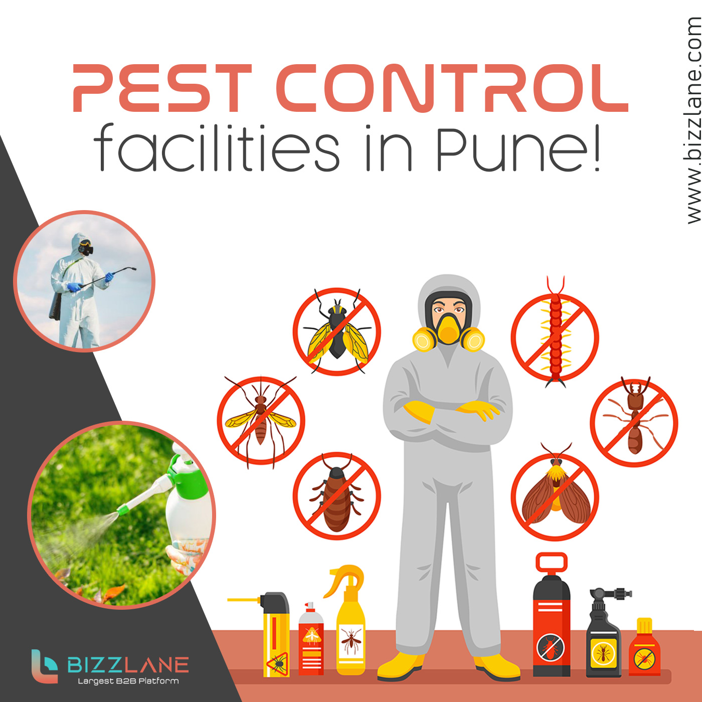 Best Pest control service in pune
