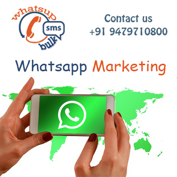 Bulk Whatsapp services Bhopal